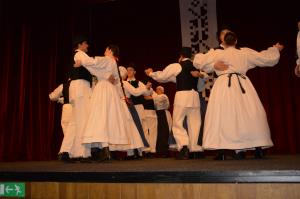 Območno srečanje odraslih folklornih skupin 1